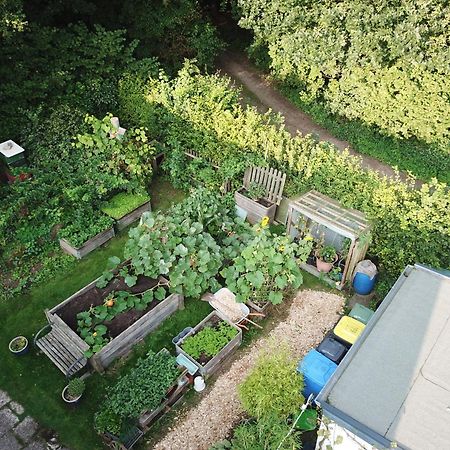 Ruhige Ferienwohnung „Suedhang“ Direkt Am Wald 巴特阿罗尔森 外观 照片