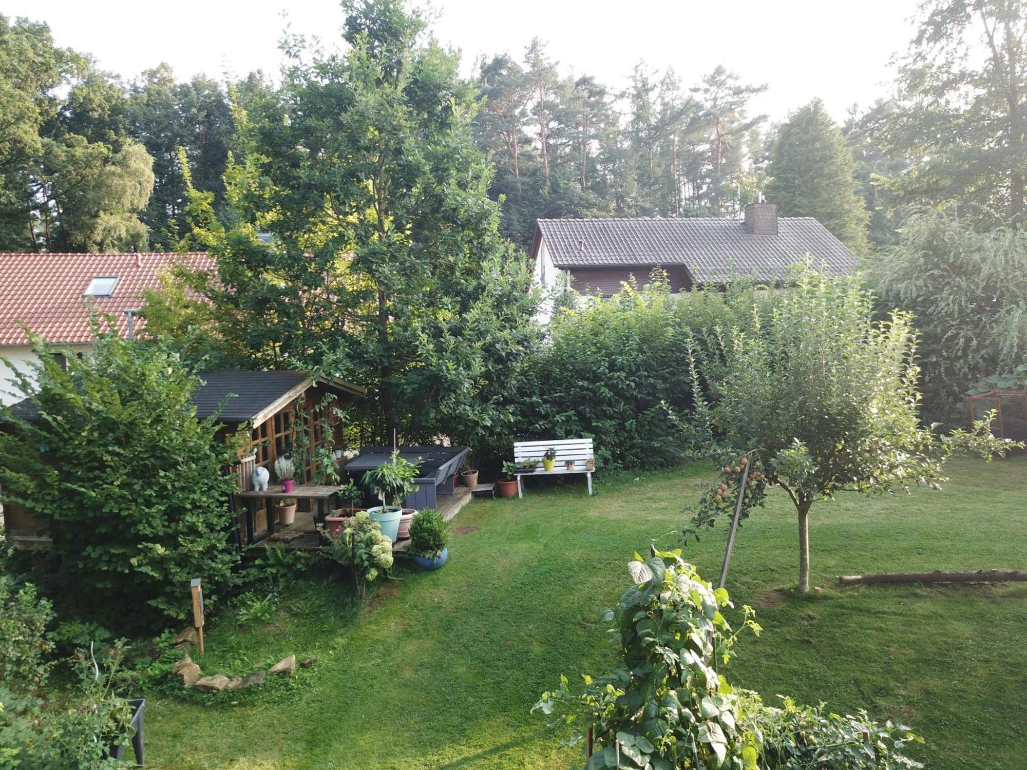 Ruhige Ferienwohnung „Suedhang“ Direkt Am Wald 巴特阿罗尔森 外观 照片